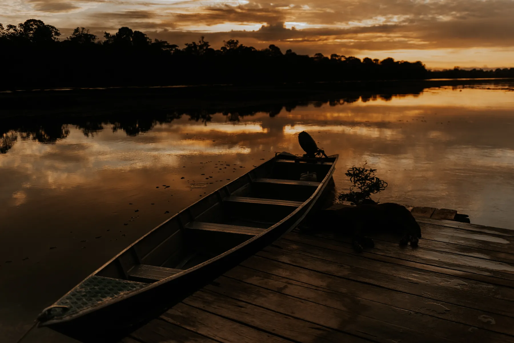 Canoa navegando pelo Rio Negro ao entardecer